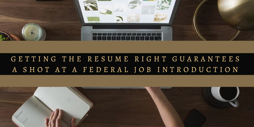 federal resume picture